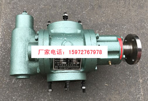 杭州威龙50QZCP-8/5齿轮泵图片