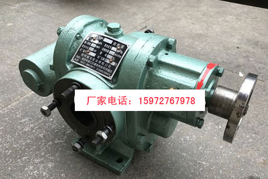 杭州威龙50QZCP-8/5齿轮泵图片