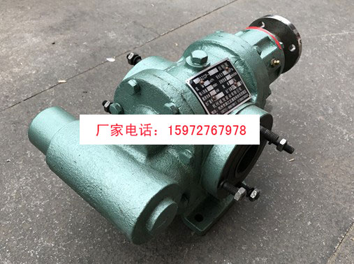 杭州威龙50QZCP-8/5齿轮泵图片