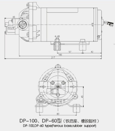 上海新西山微型隔膜泵